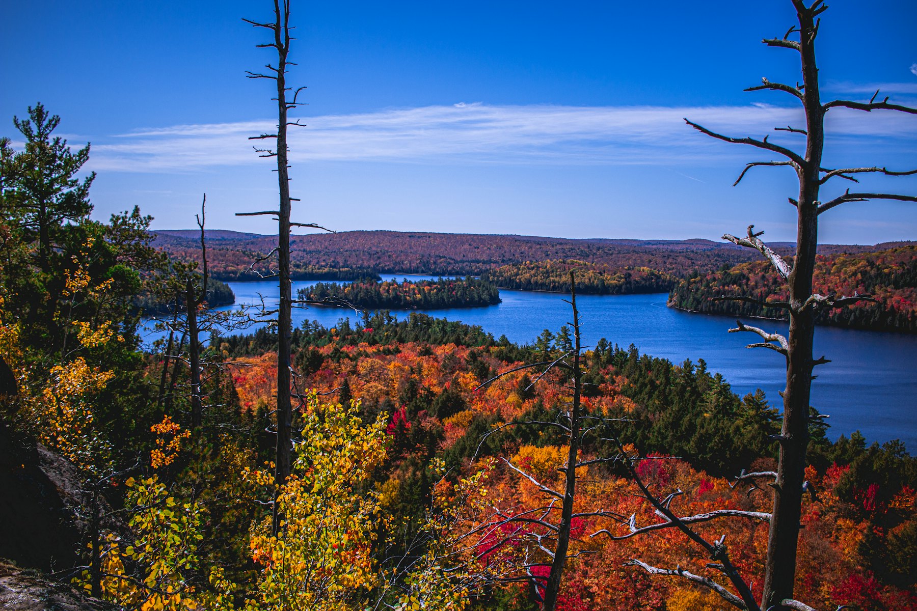A lookout over a chain of lakes in the Algonquin Highlands in October, the far hills in full fall colour, dead pines in the foreground.